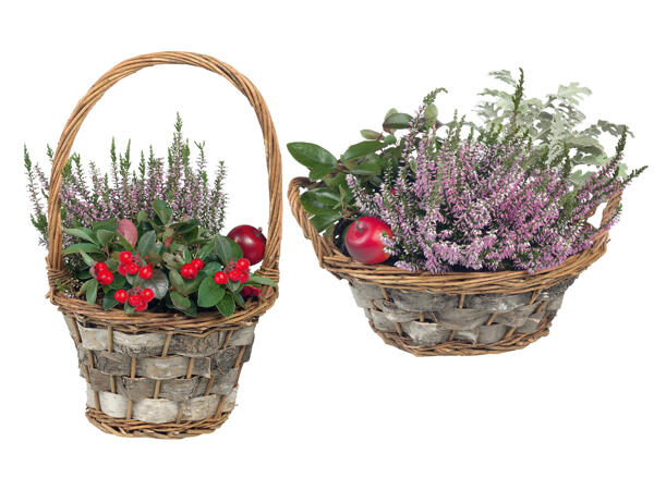 Autumn Basket