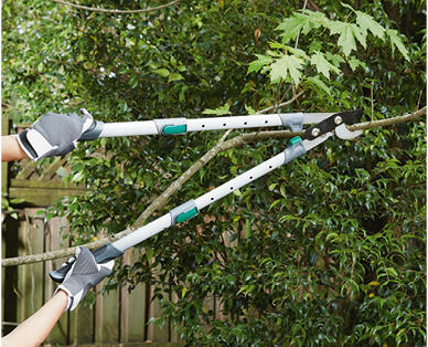 Telescopic Hedge Shears, Anvil Loppers or Bypass Loppers