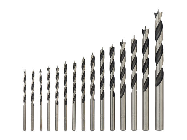 Parkside Drill or Screwdriver Bit Set