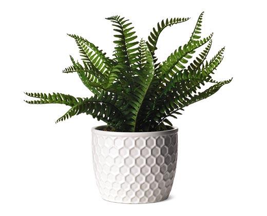 Huntington Home 
 Decorative Faux Plant