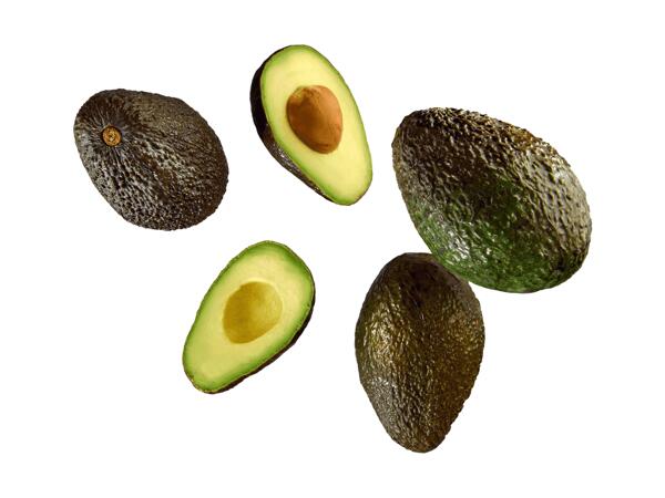 Avocat