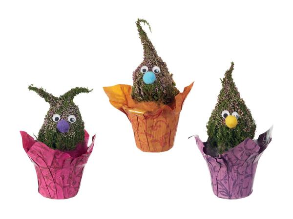 Calluna-Wichtel