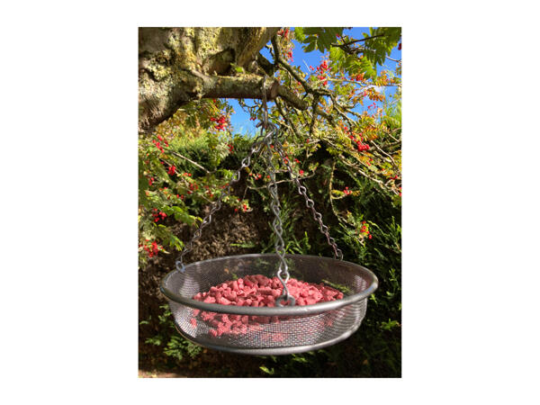 Oakdale Hanging Feeder Tray