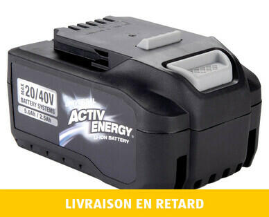 ACTIV ENERGY(R) 
 ACCU DE 20 V/40 V