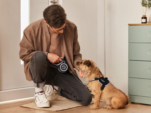 Retractable Dog Lead