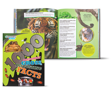 Discovery Kids Fun Facts