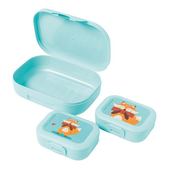 CROFTON(R) 				Boîtes à lunch et à snack, 3 pcs