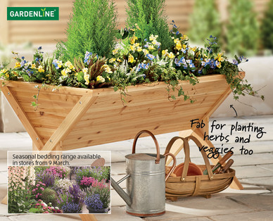 Raised Growing Trough