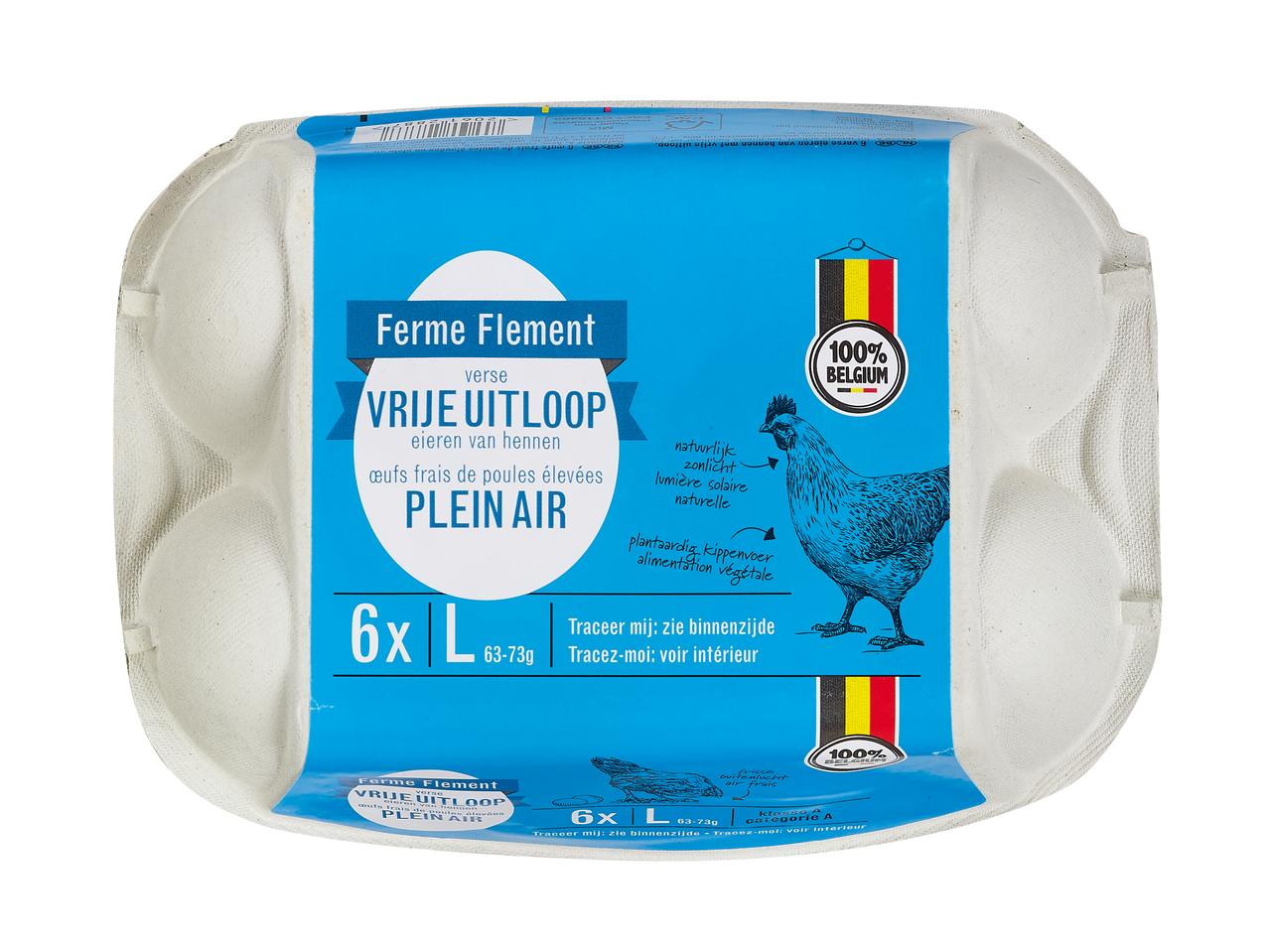 Eieren vrije uitloop