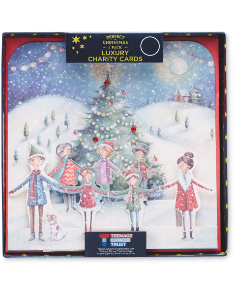 Charity Luxury Family Scene Cards