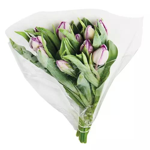 Mother's Day 10 Stem Tulip Bouquet - Assorted Color