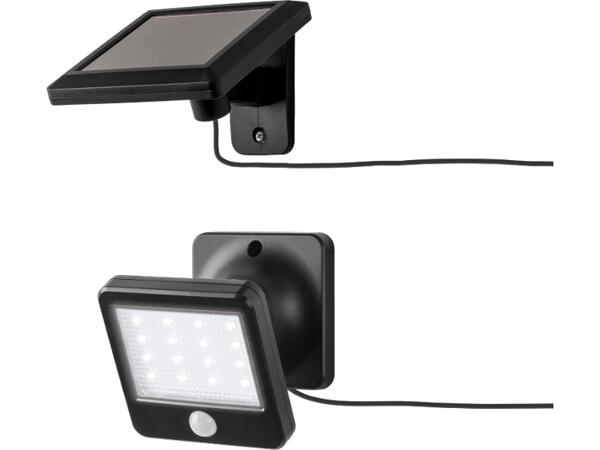 LED Solar Light with Motion Detector