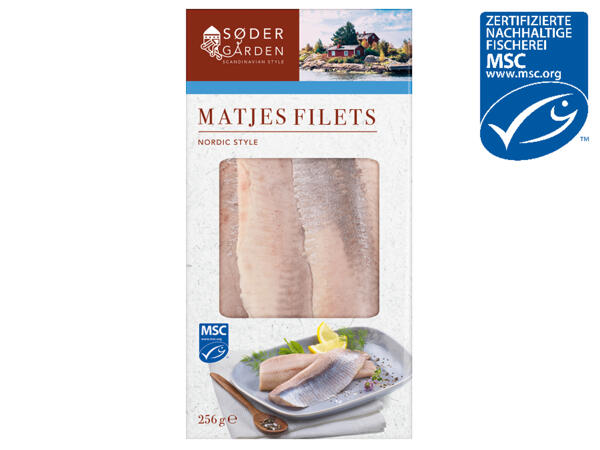 MSC Matjesfilets