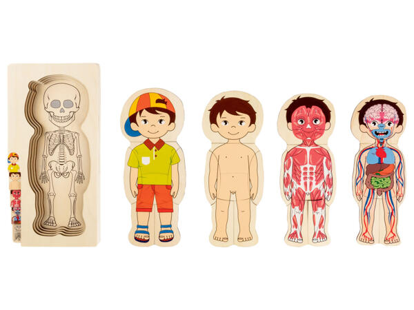 Wooden Toy