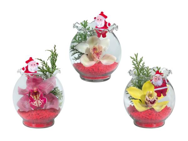 Orchidée dans un verre à bord ondulé avec déco de Noël