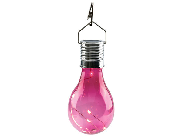 Decorative Solar Light
