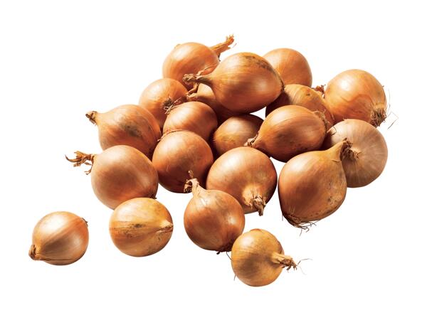 Bio Zwiebeln gelb aus Österreich