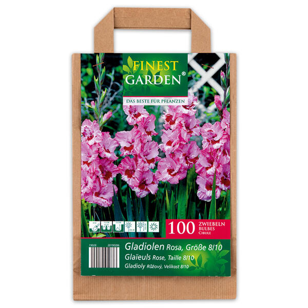 Blumenzwiebeln in Papiertasche