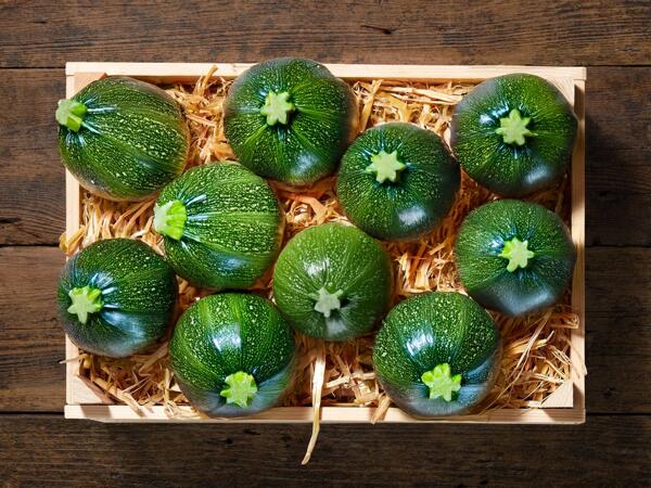 Courgettes rondes
