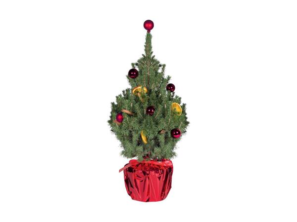 Decorated Christmas Tree