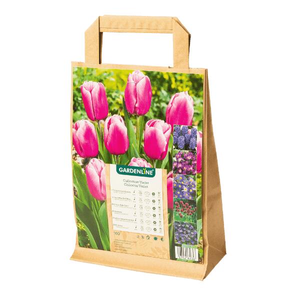 GARDENLINE(R) Bloembollen