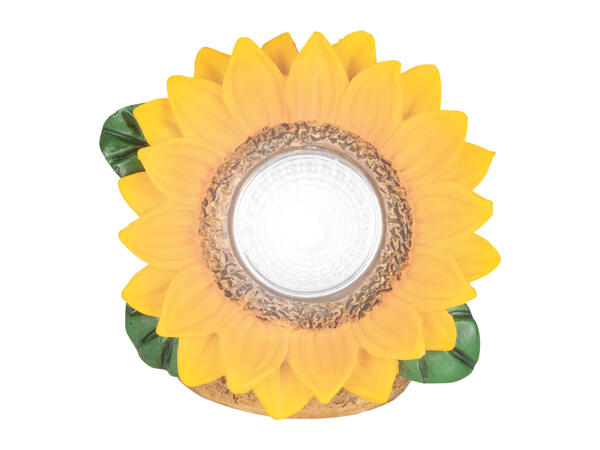 Livarno Home Solar Light Decoration