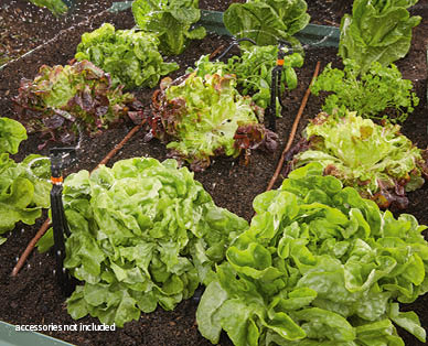 Garden Irrigation and Sprinkler Kits