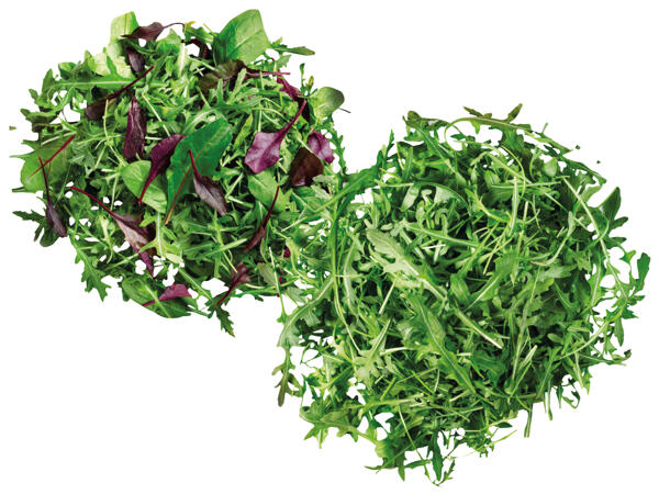 Rucola oder Mix Salat