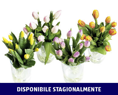 TULIPANI