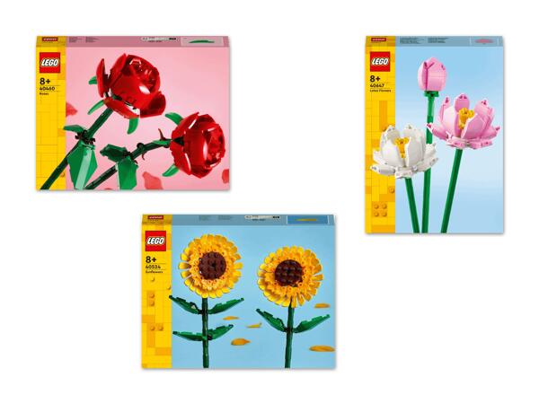 Blumen Sortierung