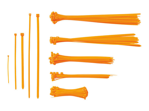 Parkside Cable Tie Set