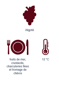Bourgogne Aligoté