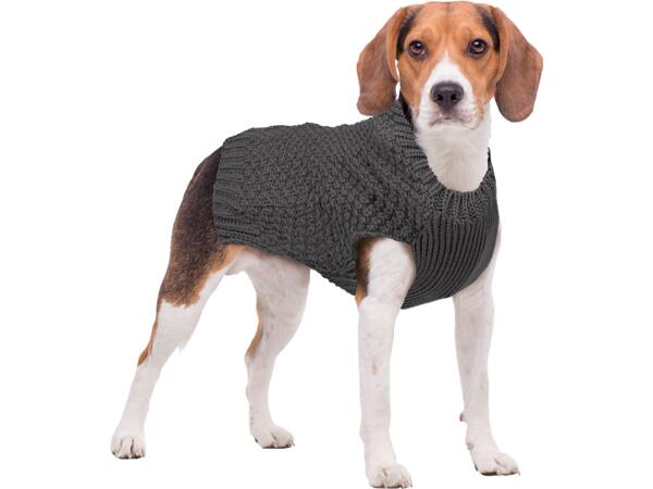 Dog Jumper