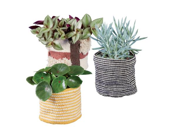 Green Plants Basket