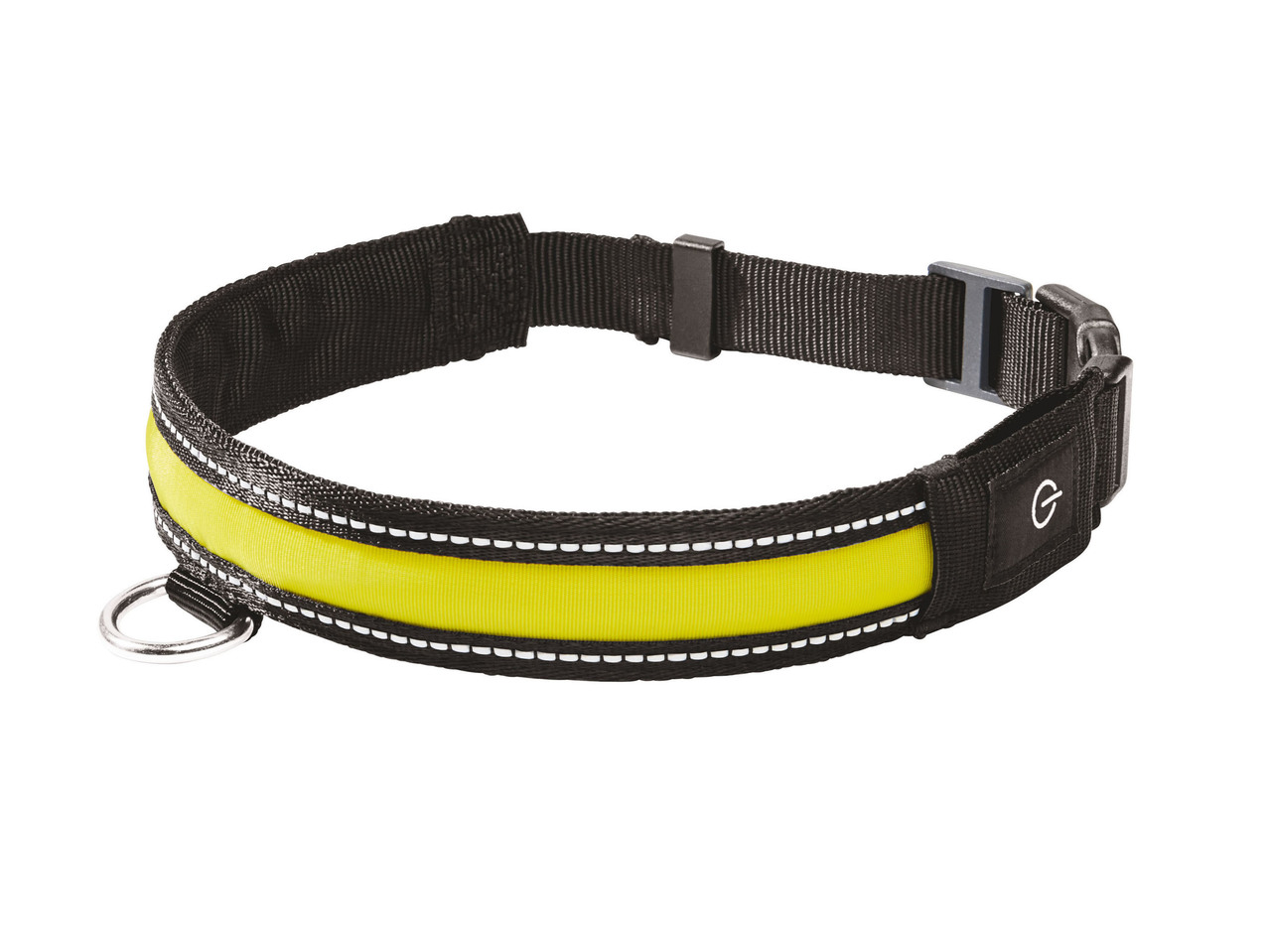 LED Dog Band or Collar