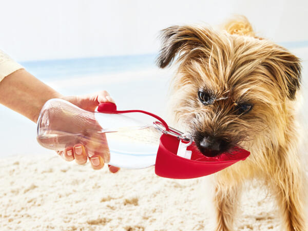 Dog Drinking Bottle