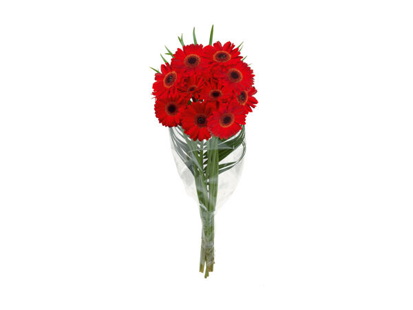 Bunch of Gerberas