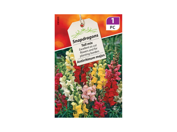 Fine Flowering Seeds