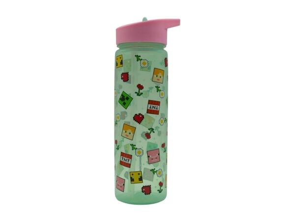 Zak 600ml Character Water Bottle