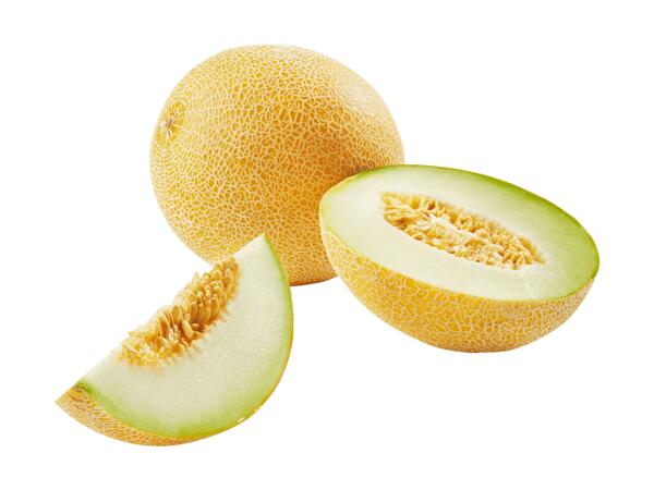 Melon Galia
