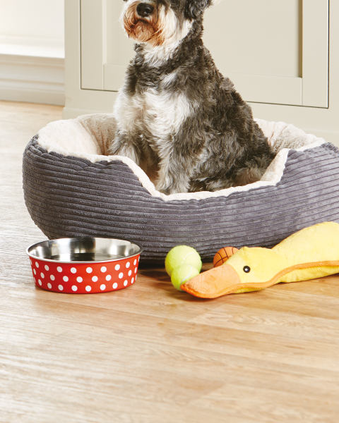 Pet Collection Stainless Steel Bowl