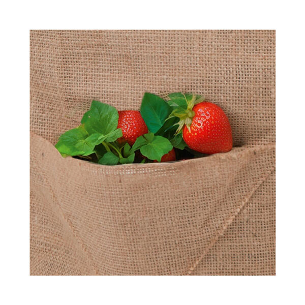 Jute-Erdbeer-Pflanzsack