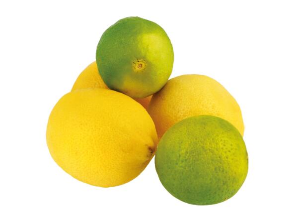 Lemon & Lime Mixed Net
