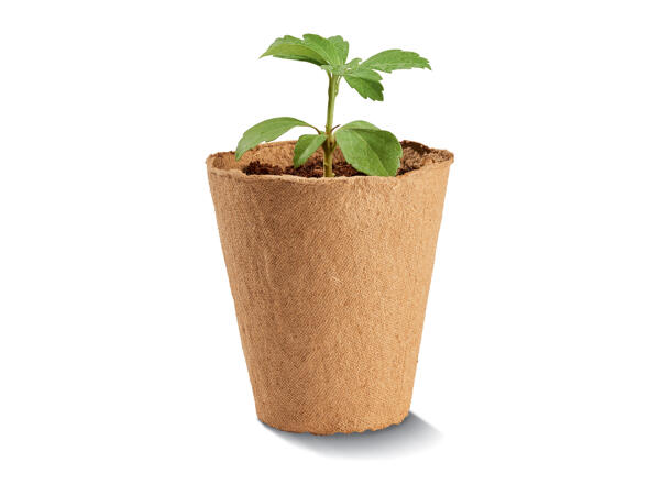 Parkside Grow Pots / Compost Discs