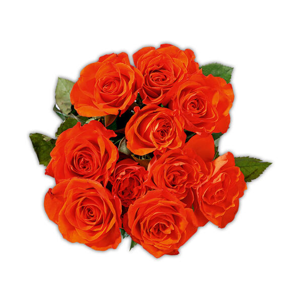 FAIRTRADE(R) Rosen