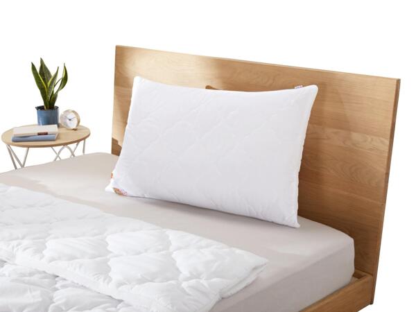 Polygiene Pillow