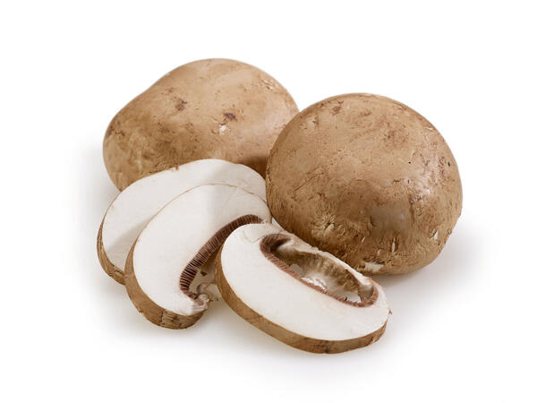 Champignons portobello