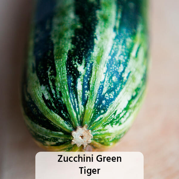 Snack-Gemüse / Zucchini- Besonderheiten