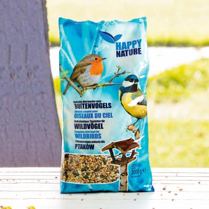Wintervoer voor vogels