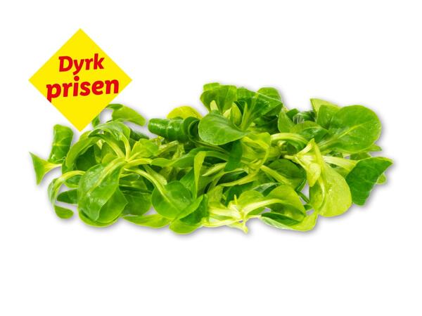 Økologisk feldsalat